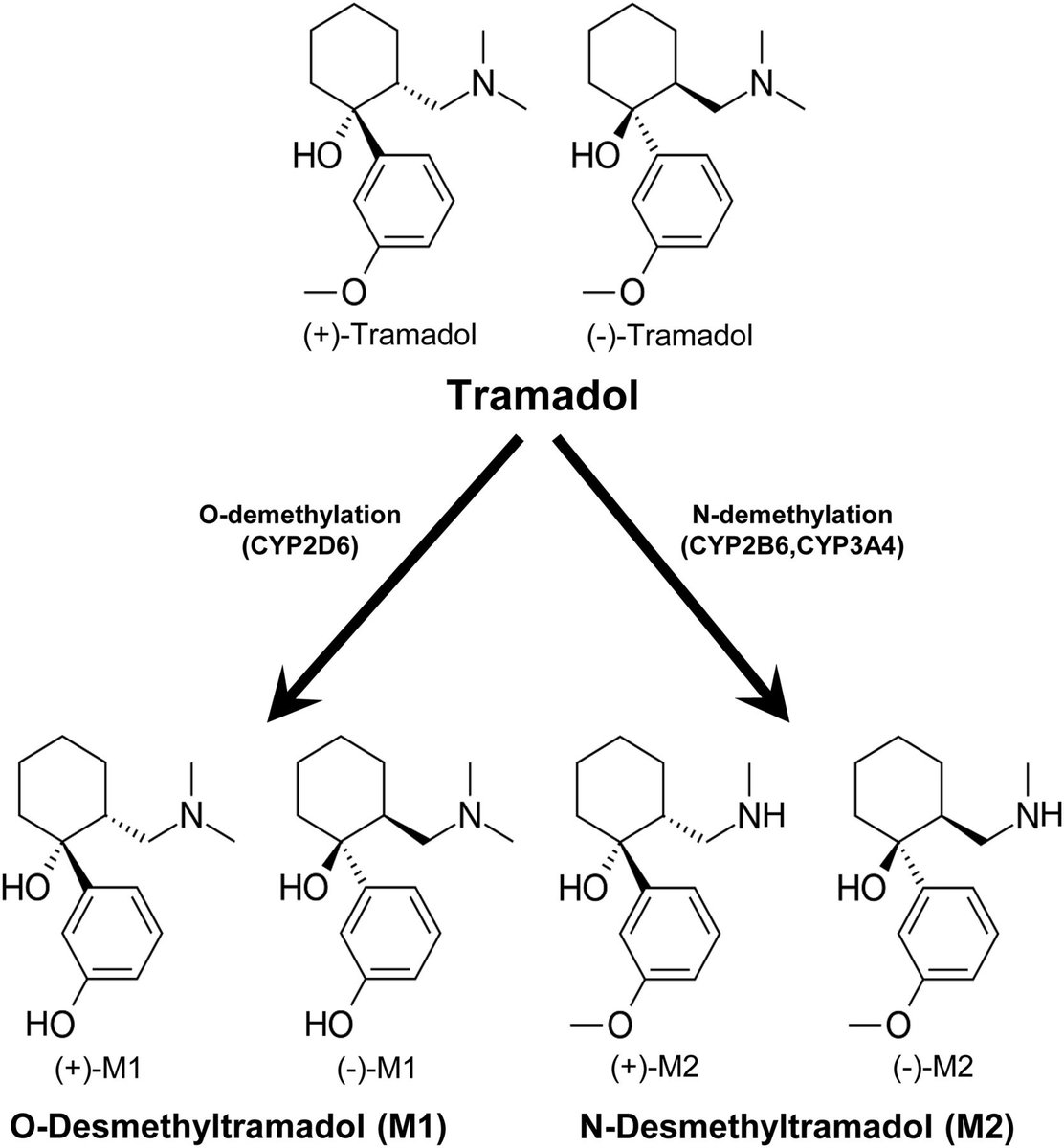 David Juurlink What S Wrong With Tramadol Is Something I Get Asked A Lot Answer Plenty Thread