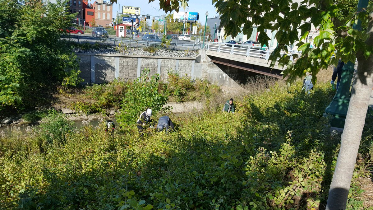 OnondagaCounty's tweet photo. Thank you Onondaga Lake Conservation Corps volunteers who planted 600 native plants & cleaned up litter along Onondaga Creek. #BlockLitter https://t.co/rK4XgUpTMC