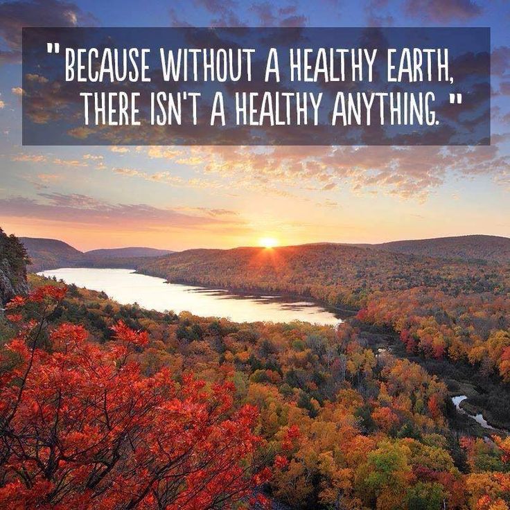 aplastic_planet's tweet image. Without a healthy Earth, there isn't a healthy anything
