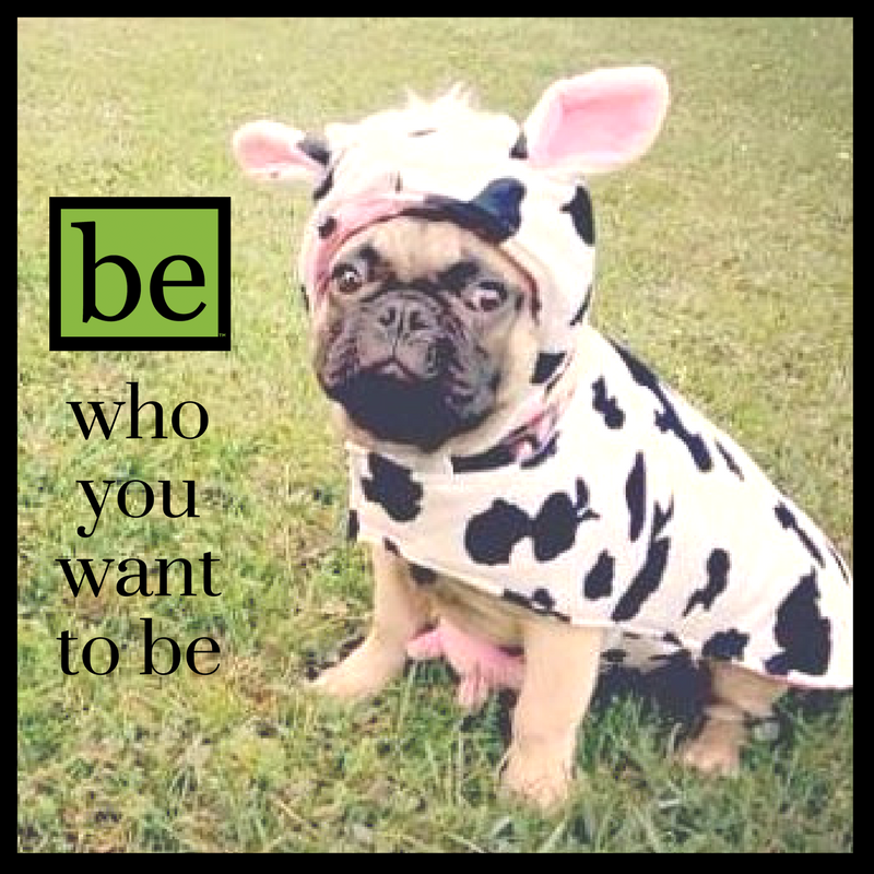 berealtygroup's tweet photo. Anyone costume shopping today?  We love halloween!  #dogsincostumes #bewhoyouwanttobe #bewhereyouwanttobe #berealty https://t.co/XiFNW0LMRG