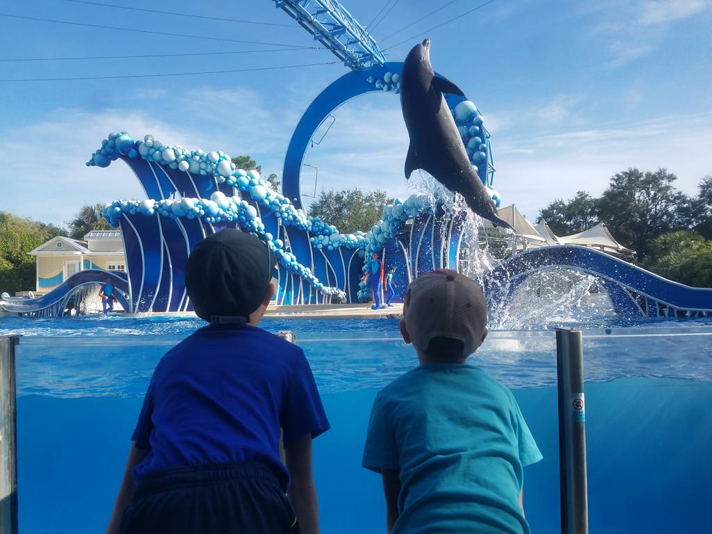 maxonguzek's tweet photo. Sea World https://t.co/lW7SmPd7fP