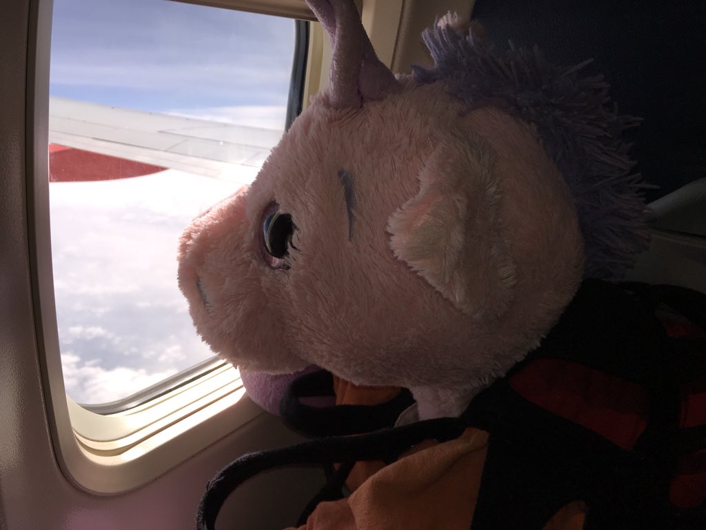LPSouth's tweet photo. @SouthwestAir And we got a window seat AND WiFi so we can tweet our adventures on @SouthwestAir https://t.co/Lt2Z0Zai9C