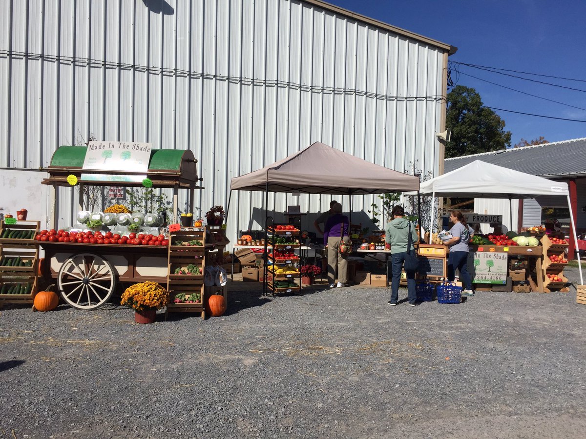 Come see us this weekend!#mountainstateappleharvestfestival