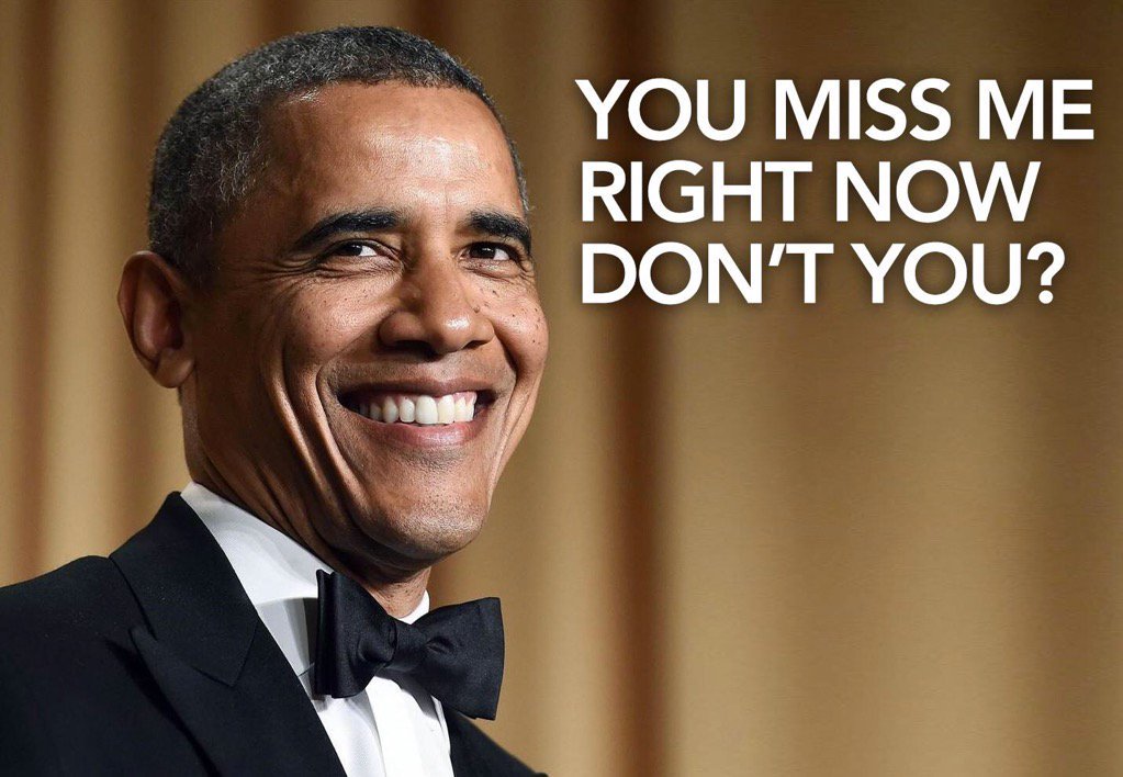 dyslexicnoshame's tweet image. 