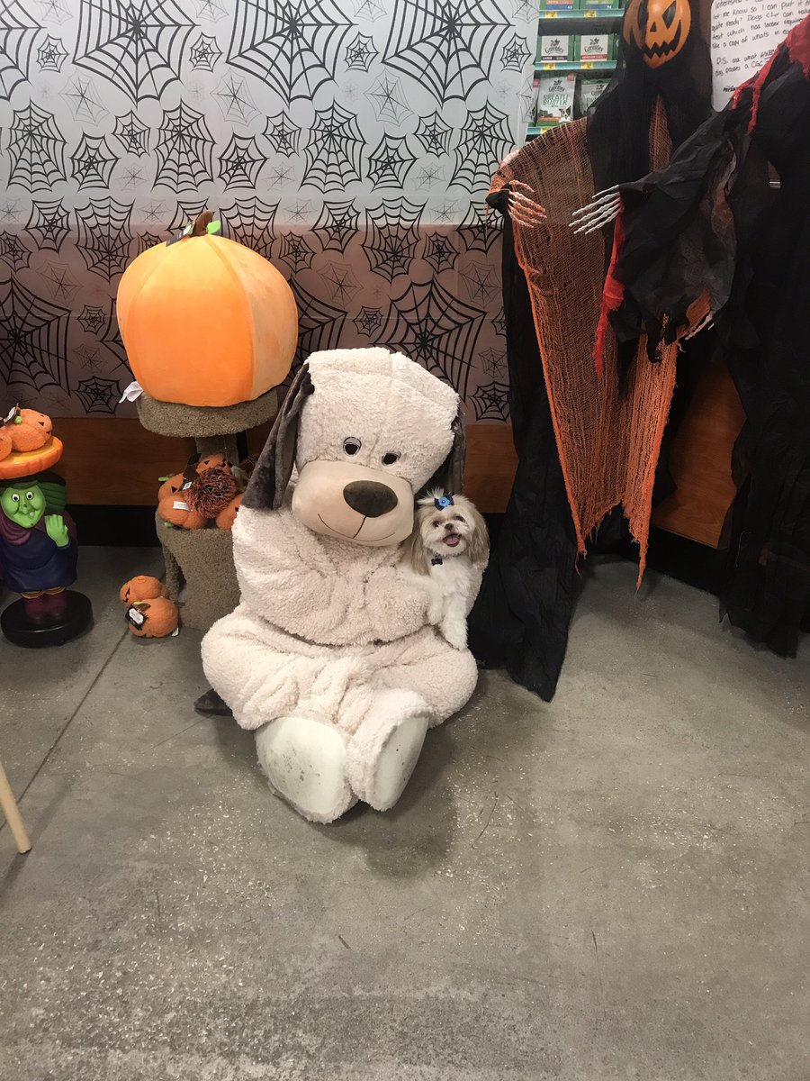 PetSmartOcoeeFl's tweet photo. Chance rescuing pets In our petsmart https://t.co/S5EjZIv4MR