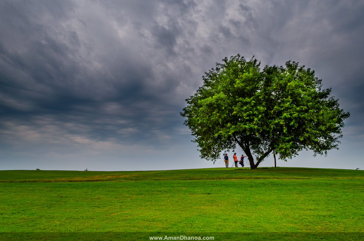 TweetByAMan's tweet image. The unseen Ludhiana.
#Ludhiana #golfcourse #landscapephotography #landscape #storm #punjab #India #photography #photograph #amandhanoa