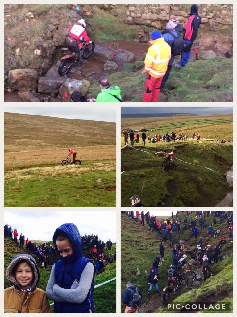 #scottrial #swaledale #roylee piccollage.com/_3LxBCTM5