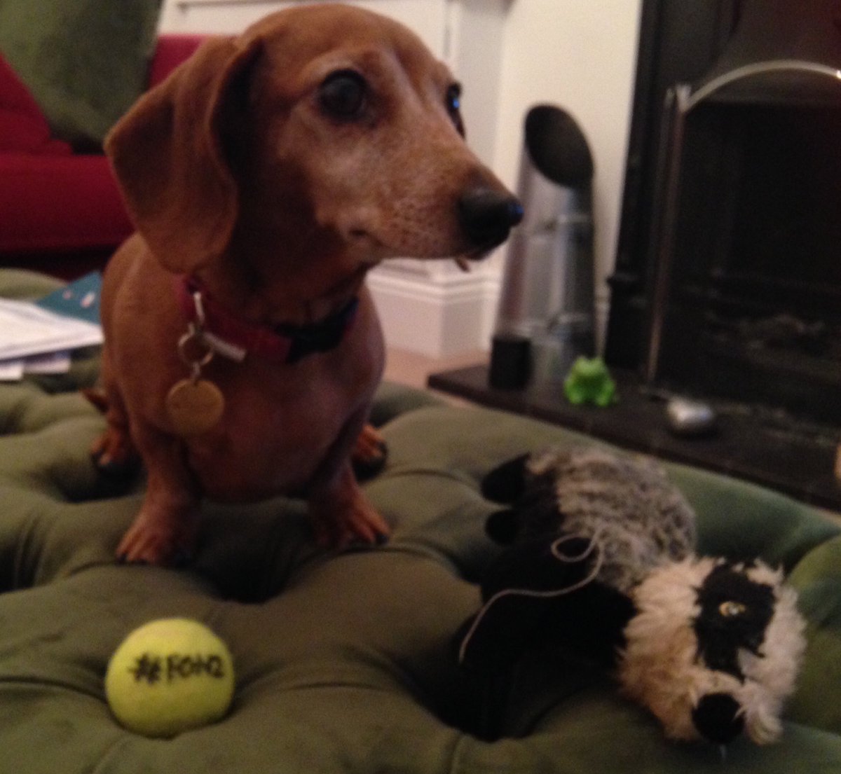 Pixiethemsd's tweet photo. My #SausageArmySaluteForFonz I was honoured to meet our great leader once. What a dayπ @SausageArmyHQ #RIPFonz π https://t.co/3iIjM4YRDx