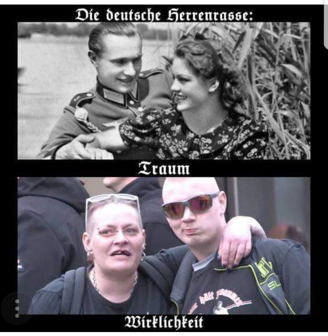 Afd#watch tweet media