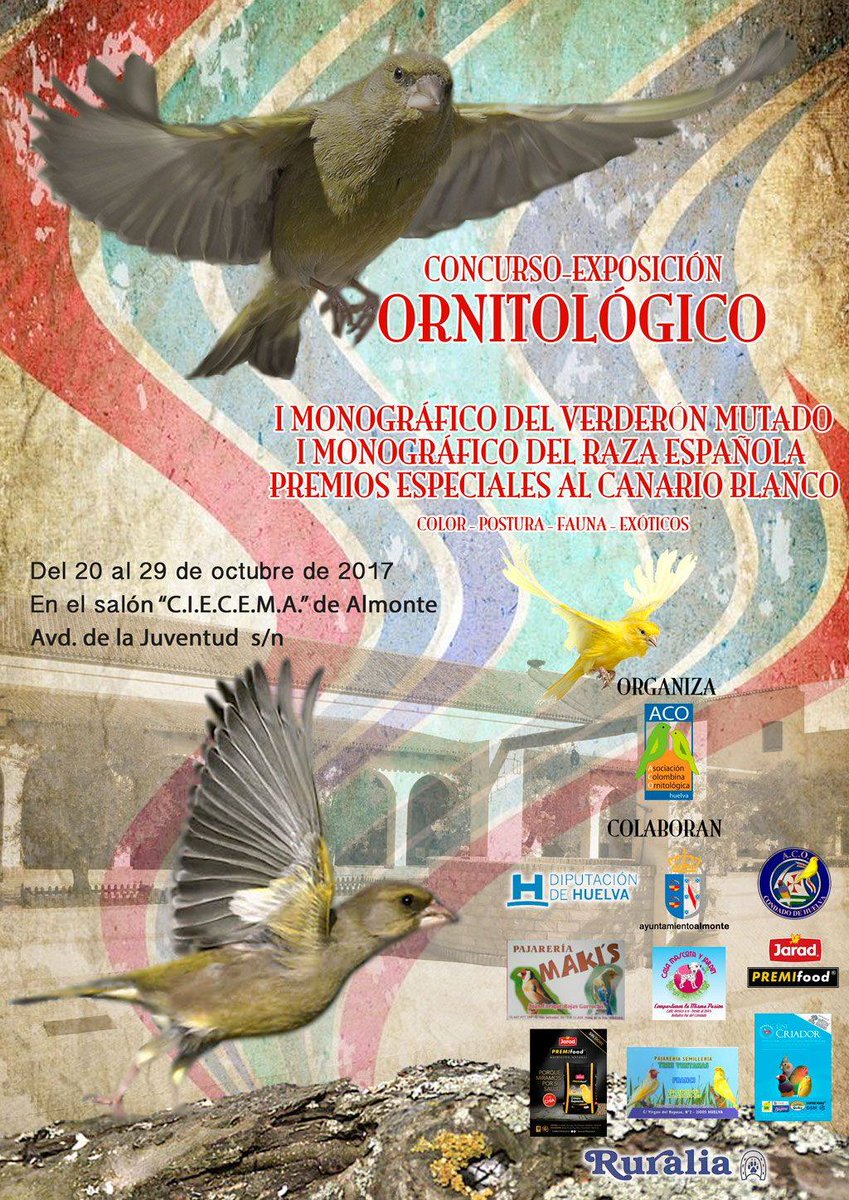 SemillasJARAD's tweet photo. Hasta el domingo 29 de octubre patrocinamos este concurso que cuenta con la colaboración de @DipuHU y @AytoAlmonte. ¡No faltéis! #Jarad https://t.co/QA5m3VrMyw
