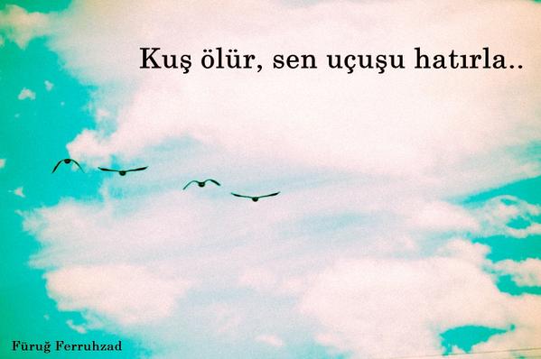 Kuş ölür,
Sen uçuşu hatırla...

Füruğ Ferruhzad