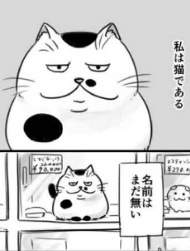 中ジャッジくん‎⁦ᔦꙬᔨ (@spla_ikanosusi) / Posts / X