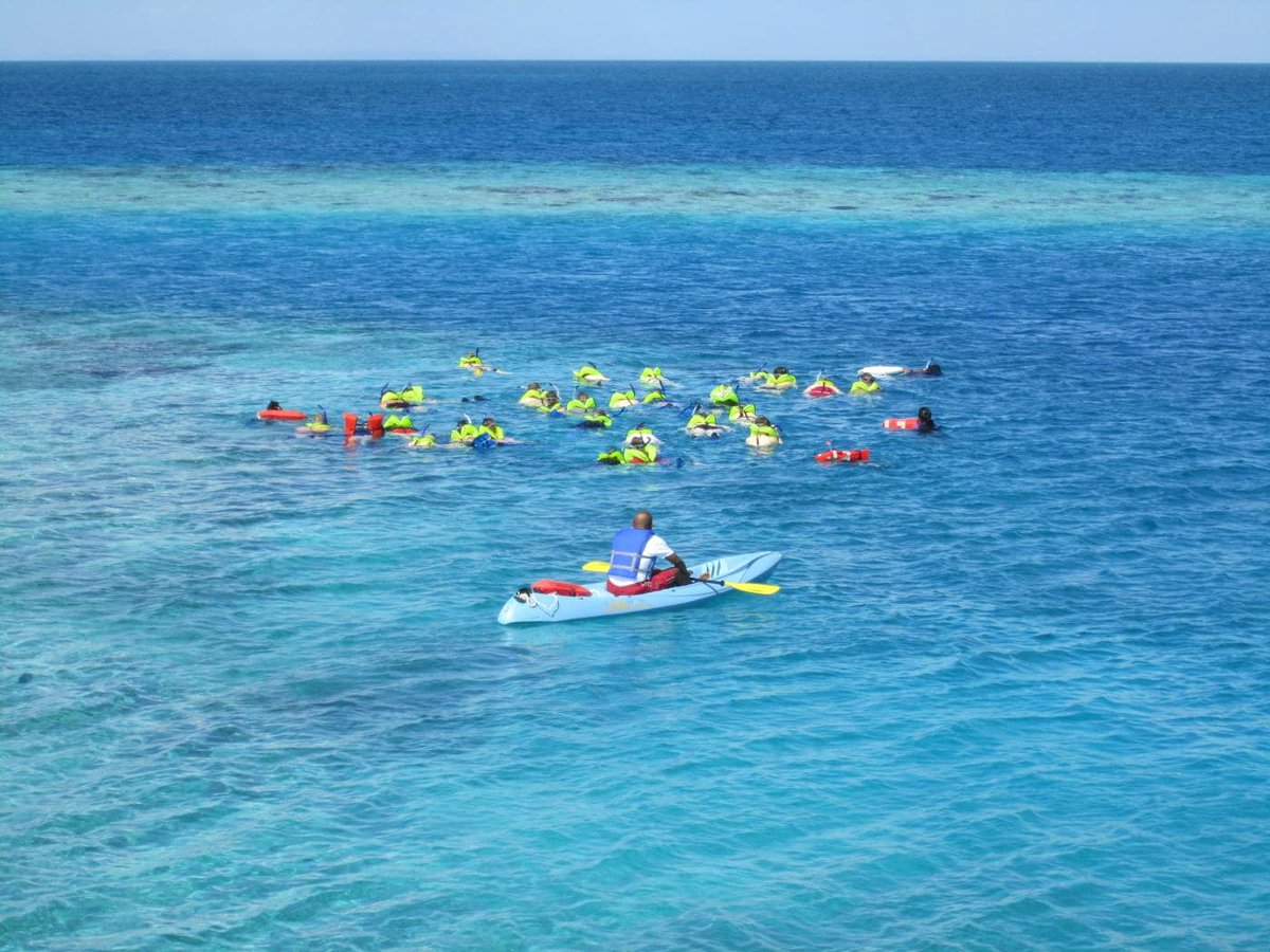 budgetcayman's tweet photo. As true as it looks ! #GrandCayman https://t.co/Uork4H6RxL