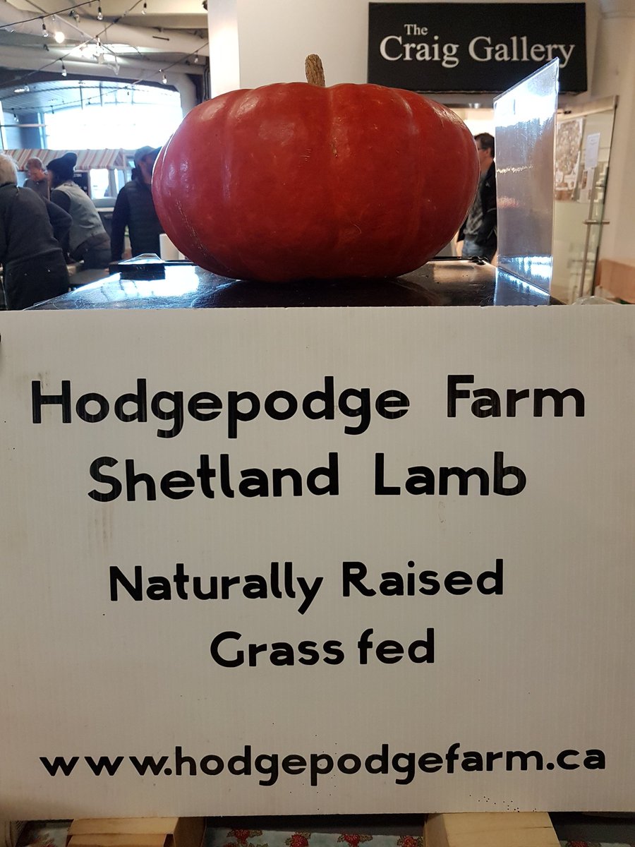 AlderneyLanding's tweet photo. #Hodgepodgefarm has #naturallyraised #grassfed #Shetlandlamb amazing #jamsandjellies #freshbread #greens and more! #littlebitofeverything https://t.co/cmPFNzE26K