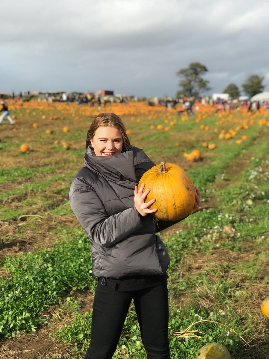ZoeRollinsPR's tweet photo. Amazing day @ #FarmerCopleys #pumpkinpatch 🎃🎃🎃🎃 https://t.co/hMEhOYkt8r