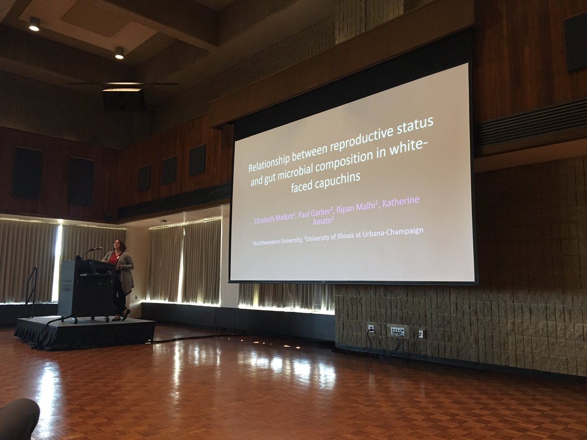 JNRutherford's tweet photo. #LizMallott discusses gut #microbiota change across reproductive status in #capuchinmonkeys. #cebuscapucinus #lasuerte #MPIG2017 https://t.co/8XwE9Ai8pf