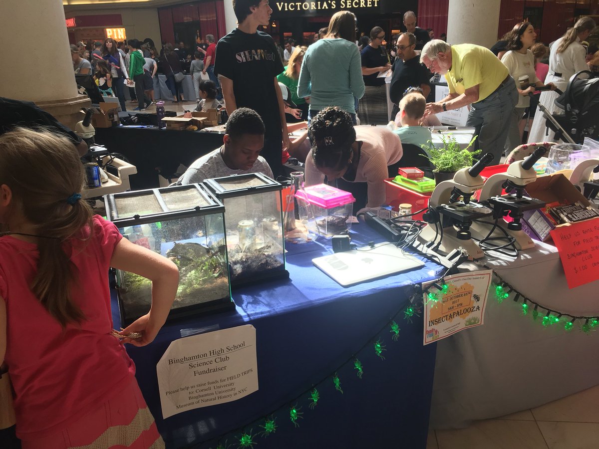 Kevin_Richman's tweet photo. STEAMfest!! BHS Science Club! #BPatriotProud #WeAreBHS @BinghamtonCSD https://t.co/dz8feBzYuH