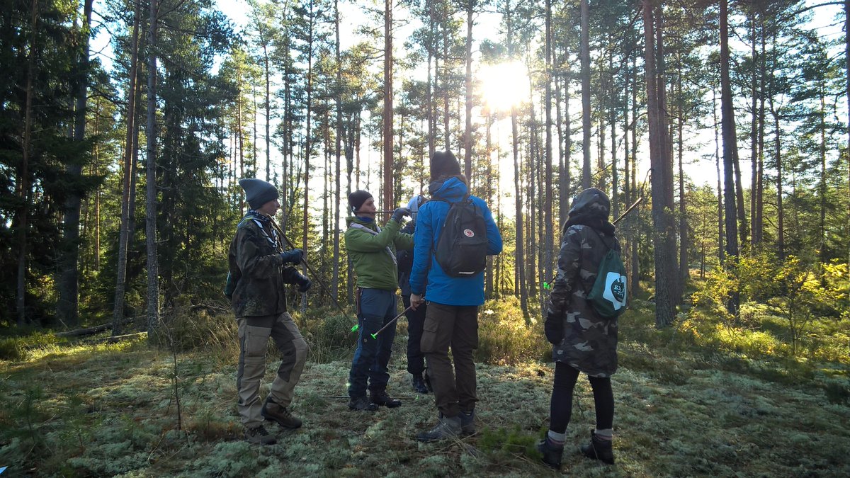 JNippala's tweet photo. Tänään upea aurinkoinen päivä @Partiolaiset #explo17 Teijossa! #partioscout #metsäsuhde https://t.co/qyTEJzZrlx