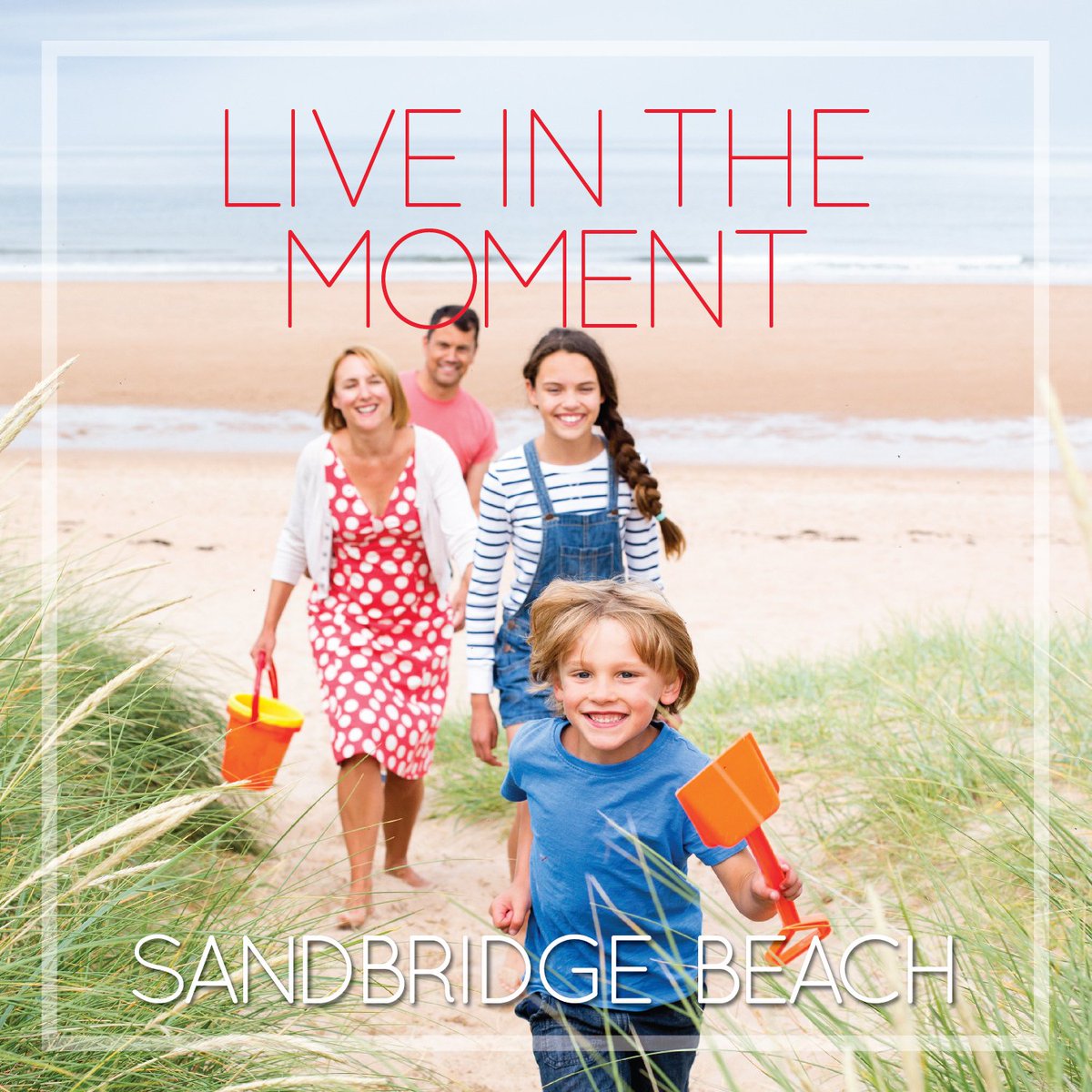 SiebertRealty's tweet photo. Your castle near the sand awaits. 

#sandbridgebeach #siebertrealty #beachdays https://t.co/i2YODnjflS