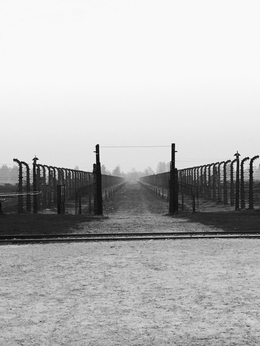 someswedishgirl's tweet photo. Please visit Auschwitz-Birkenau if you have the chance https://t.co/z6mQIjoot8