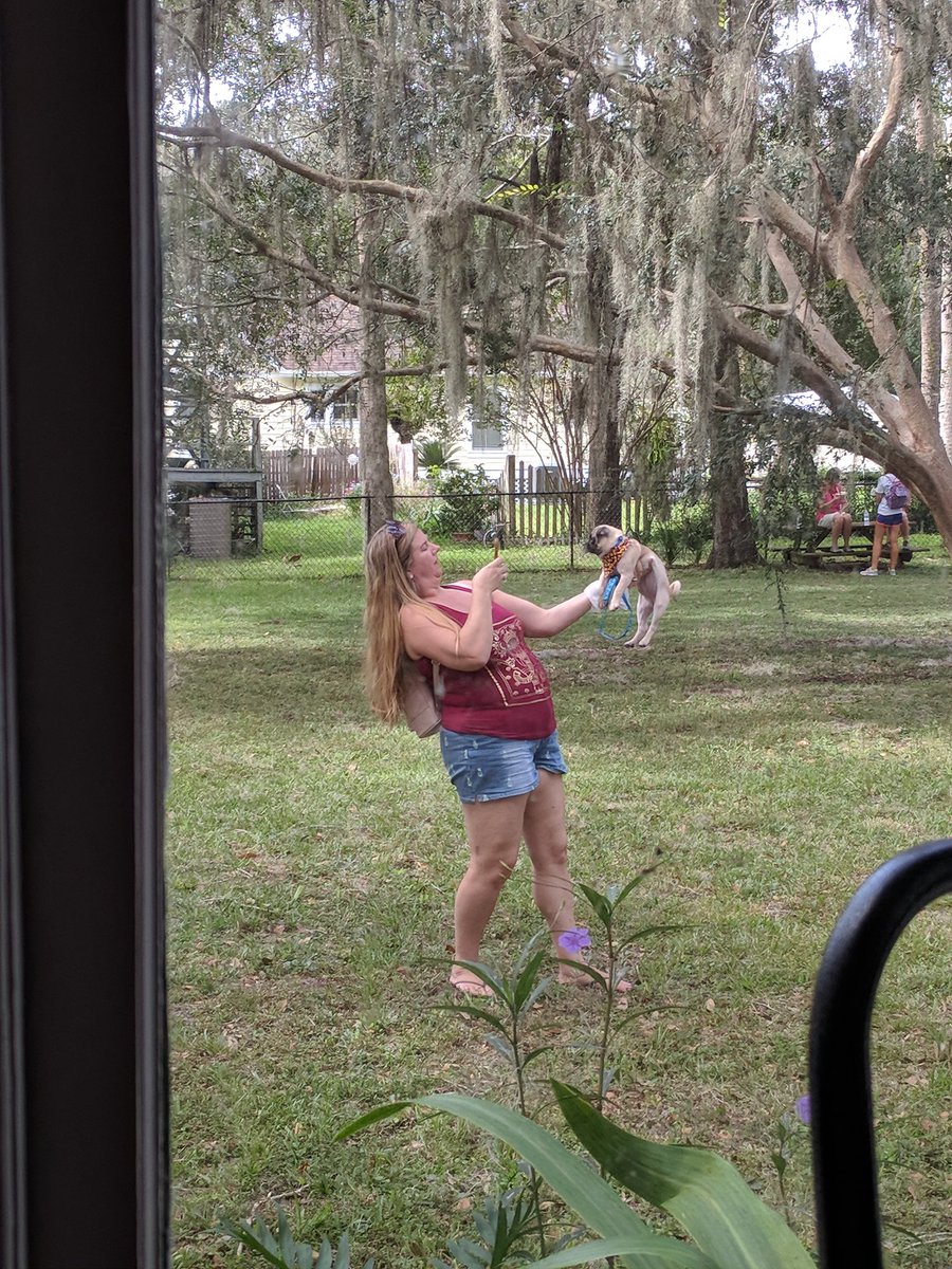 McIntoshHotel's tweet photo. Taking pics of her pup in our yard, saw us enjoying our lunch at our kitchen table. 😂 She was a bit shocked. #1890sFestival #McIntoshHotel https://t.co/CW1iyQyPM1