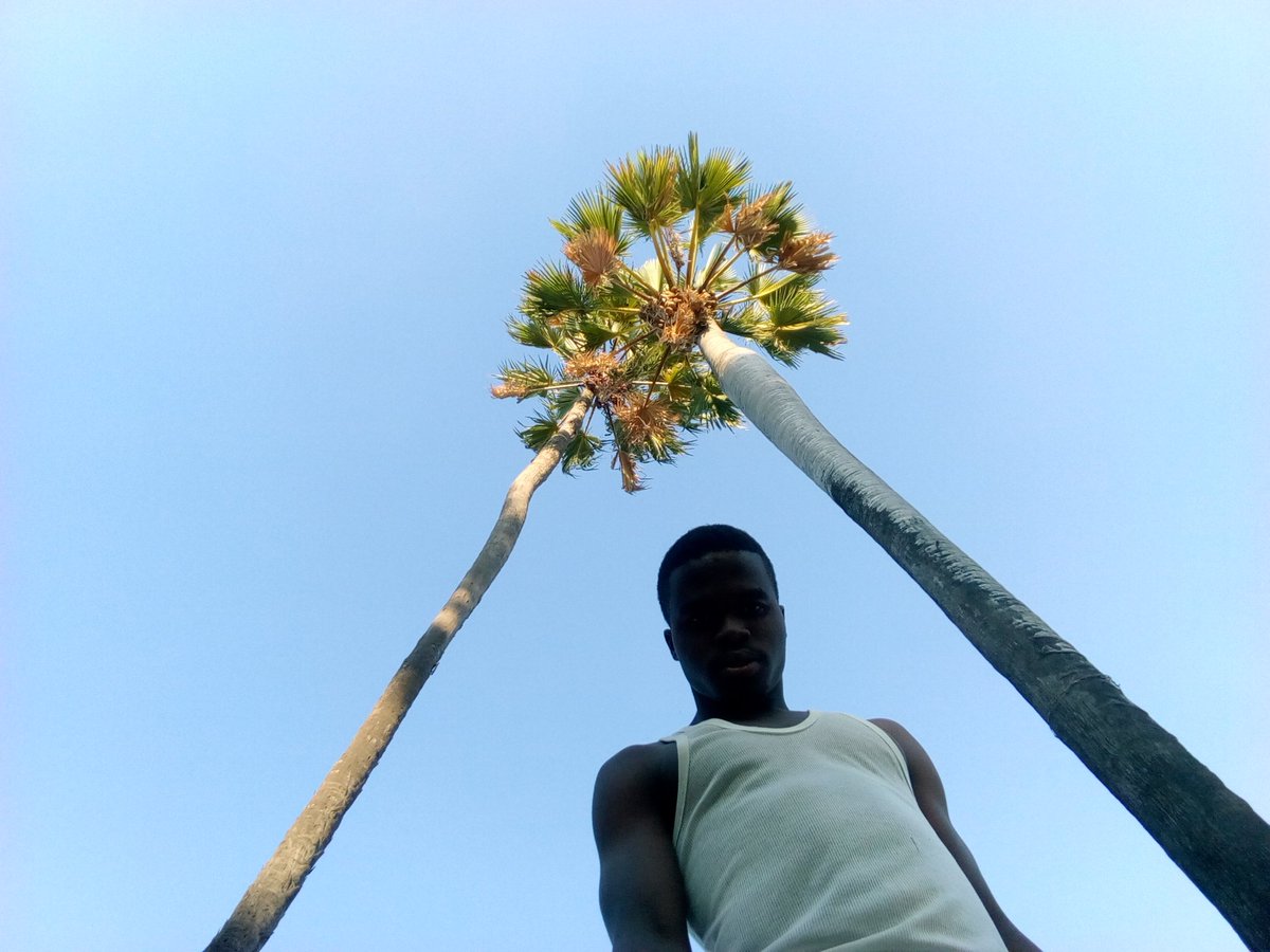 It's Blema Mw tweet media