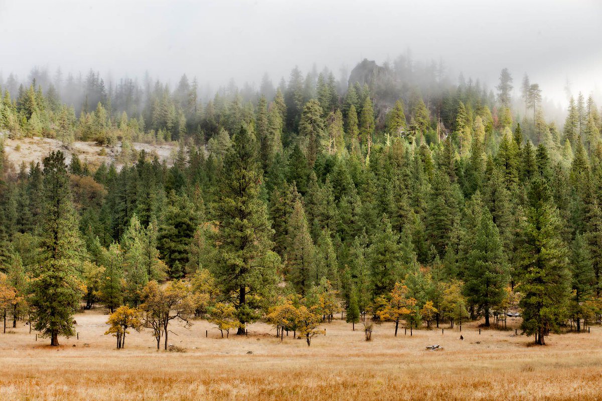Fully enjoying these gorgeous #autumn days!

#willowwittranch #sustainablefarming #ashland #organic #farm #fall #mountains #getoutdoors