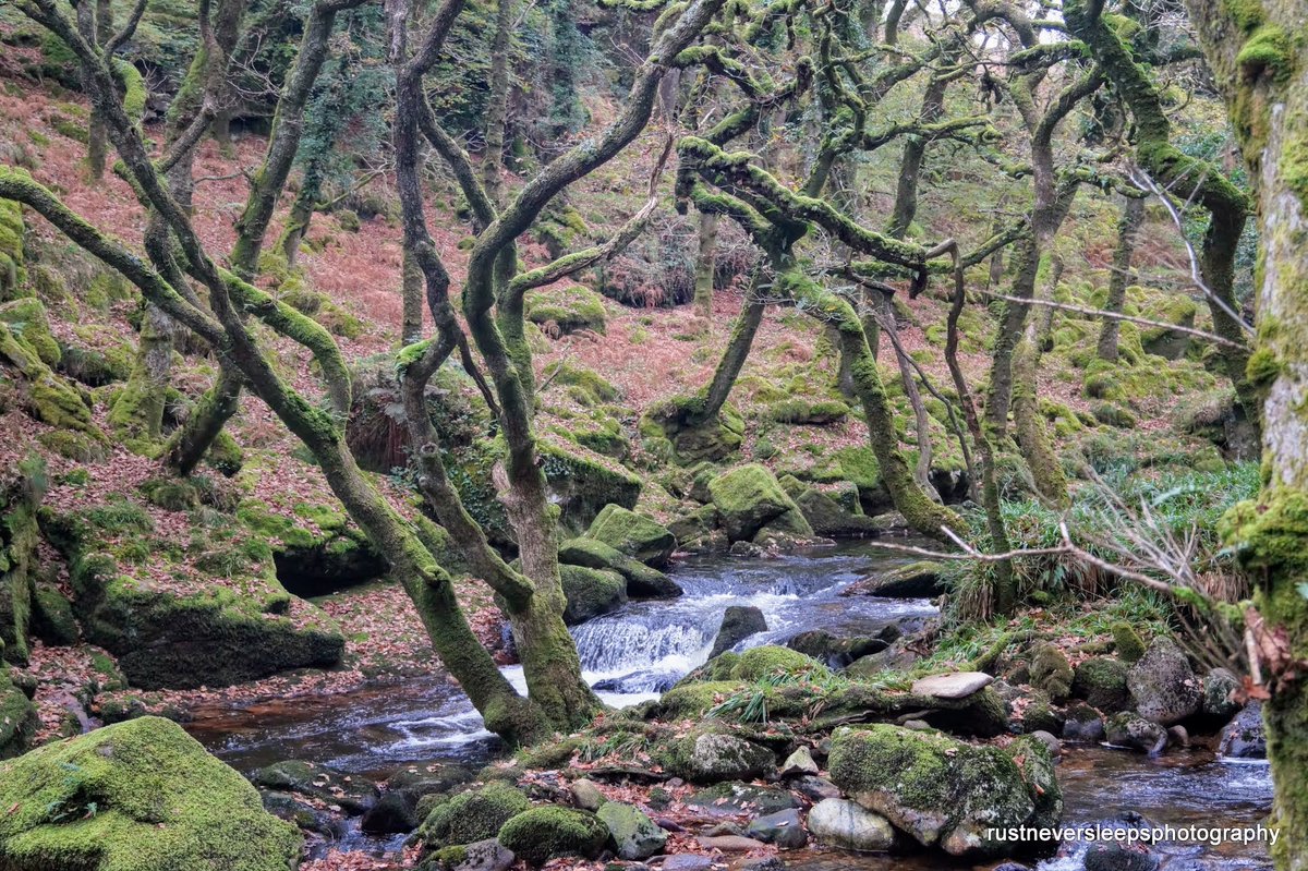 chirpychappy1's tweet photo. Before Brian walk. #RiverPlm #Dartmoor #Cadover
Spot the dog. https://t.co/kWVO8sLslo