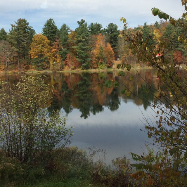 JenLamantia's tweet photo. Delicious lunch @rhubarbhali and a table with a view! #haliburton https://t.co/yqADPHm4C9