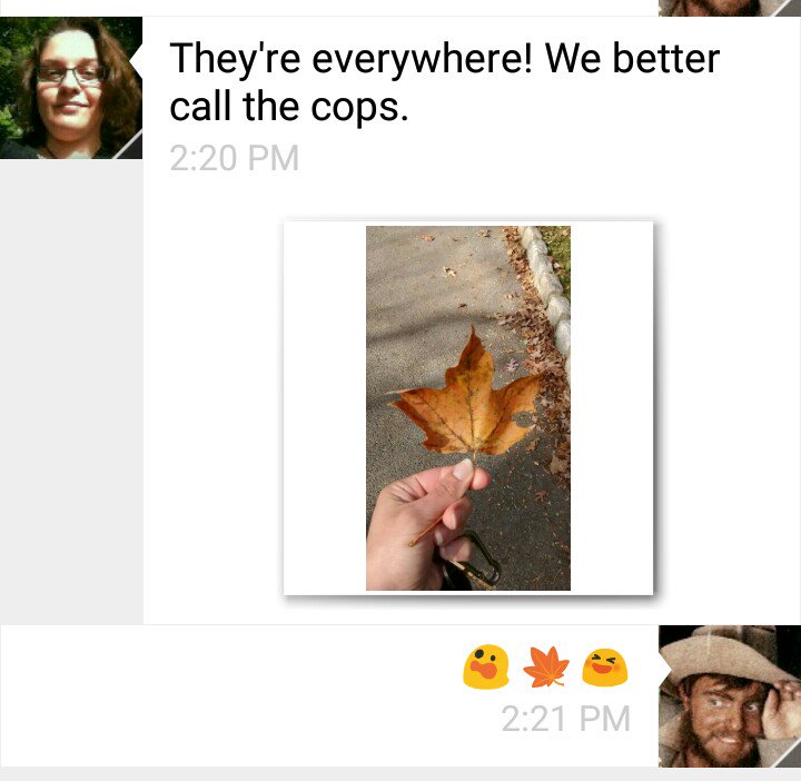 Follow-up! (Yes, my picture of myself on my phone is Torgo.)