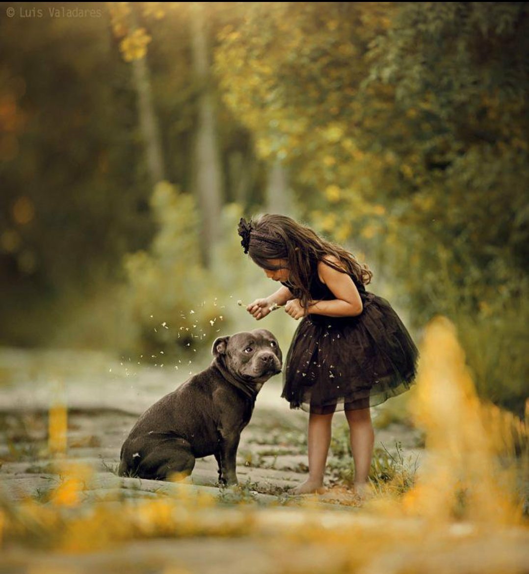 pamelu253's tweet photo. 🐾❤️🐾❤️🐾❤️🐾❤️🐾❤️🐾❤️🐾❤️🐾❤️ Amor puro❤️🐾❤️ https://t.co/UeqTtSpTpj