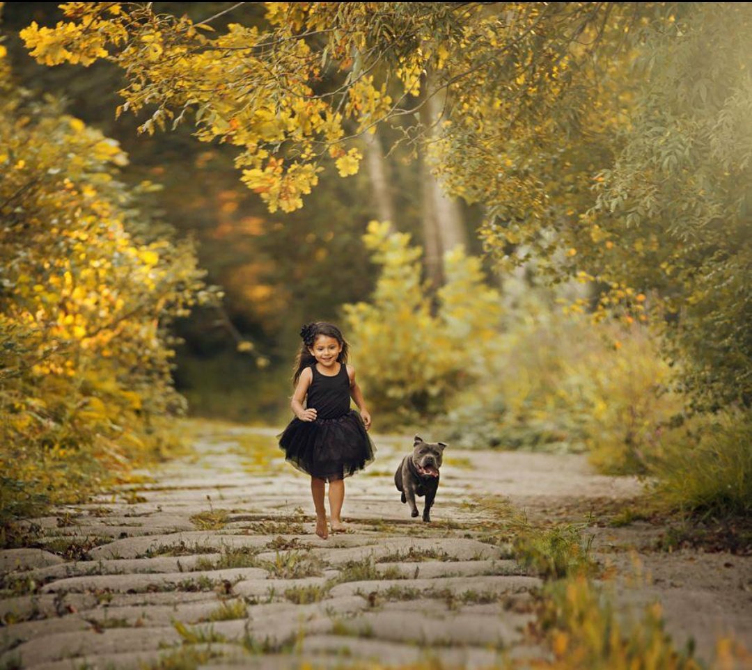 pamelu253's tweet photo. 🐾❤️🐾❤️🐾❤️🐾❤️🐾❤️🐾❤️🐾❤️🐾❤️ Amor puro❤️🐾❤️ https://t.co/UeqTtSpTpj