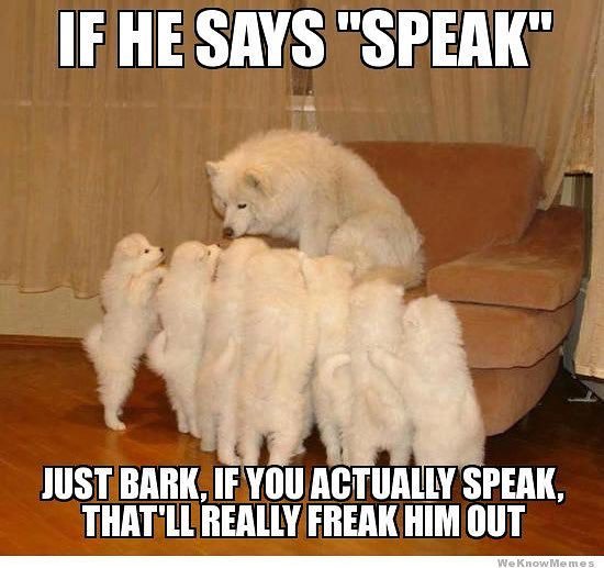 AskMomAndSpawn's tweet photo. Guys! If you have ?s but want to stay anonymous, send them via DM now, and we’ll answer as many as we can during our LIVE advice sessions! … https://t.co/RfuNnJ99jA
