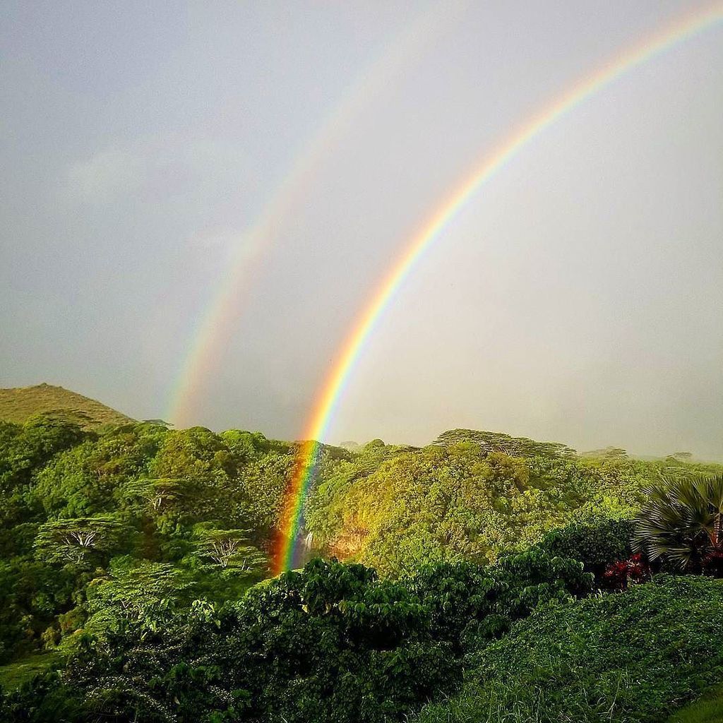 TheRickHarman's tweet image. This was one of the #brightest and #clearest #rainbows I've ever seen. I was thoroughly #impressed with this #incr… ift.tt/2gX2BtL