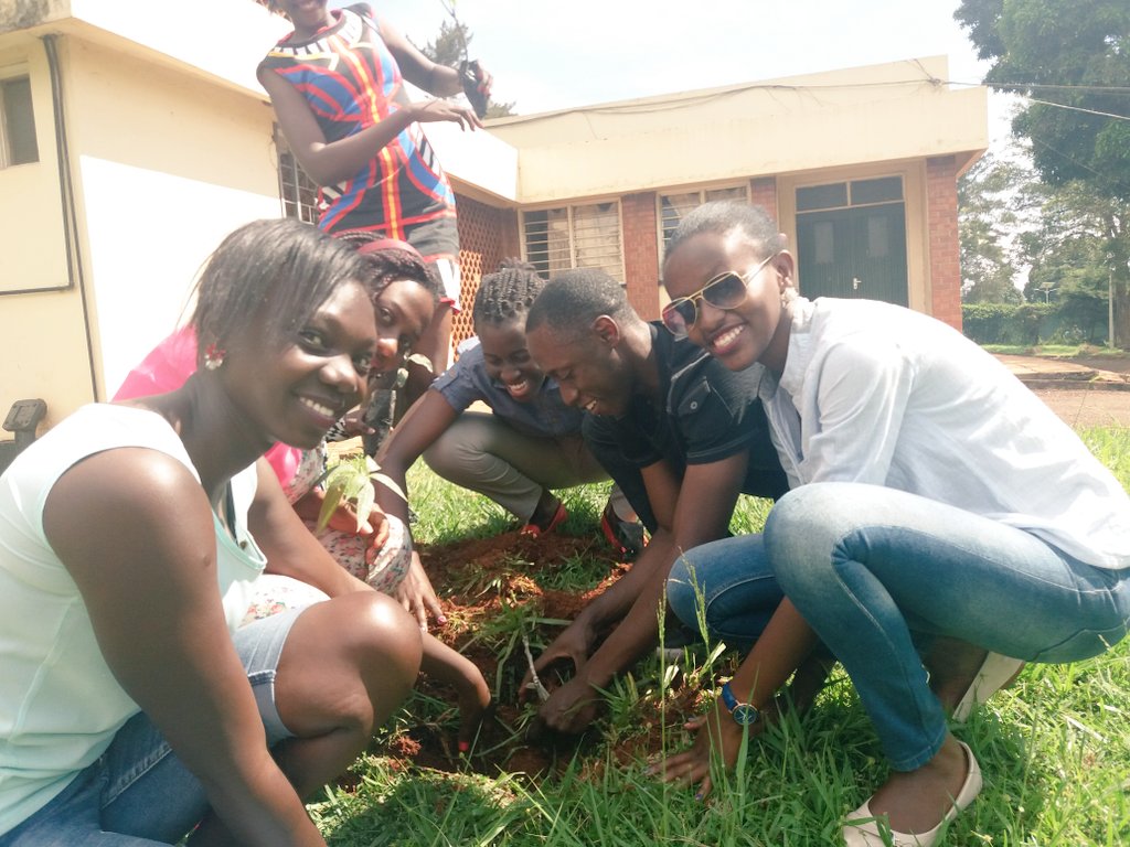 fredkwesiga's tweet image. We went Green this evening; Tree Planting project @rctuict.
#mission50 #missiongogreen.
Cc @beingJanie @kanosug