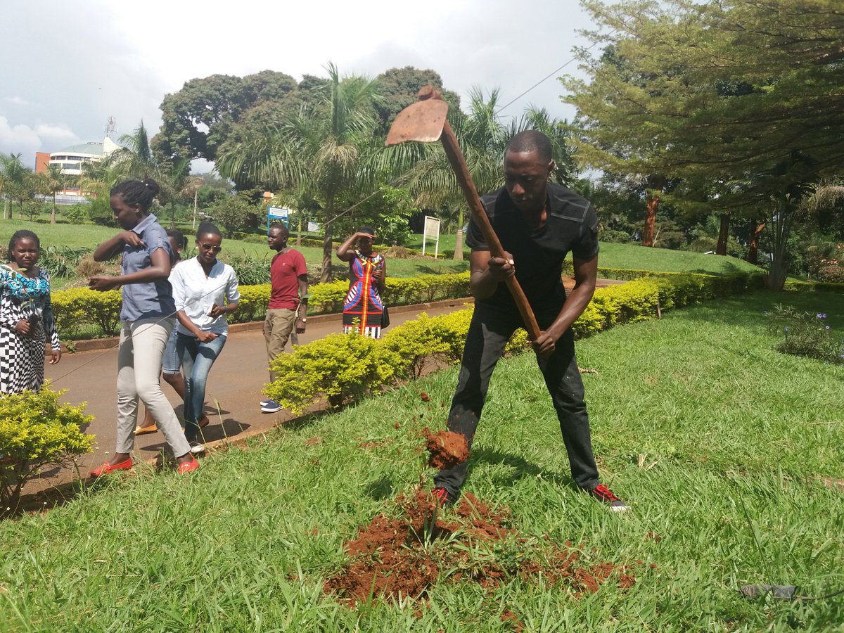 fredkwesiga's tweet image. We went Green this evening; Tree Planting project @rctuict.
#mission50 #missiongogreen.
Cc @beingJanie @kanosug