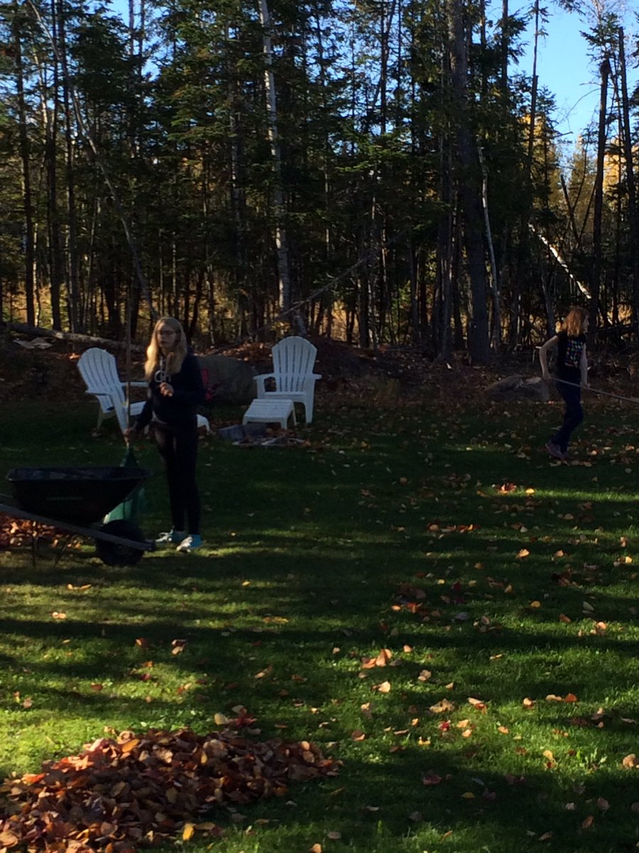 KRSRaiders678's tweet photo. #RandomActOfKindness #ActiveCitizenship #volenteer. KRS students raking leaves on a SATURDAY, as part of their active citizenship project for Social Studies. Way to go girls! https://t.co/KO5VZcUzwC