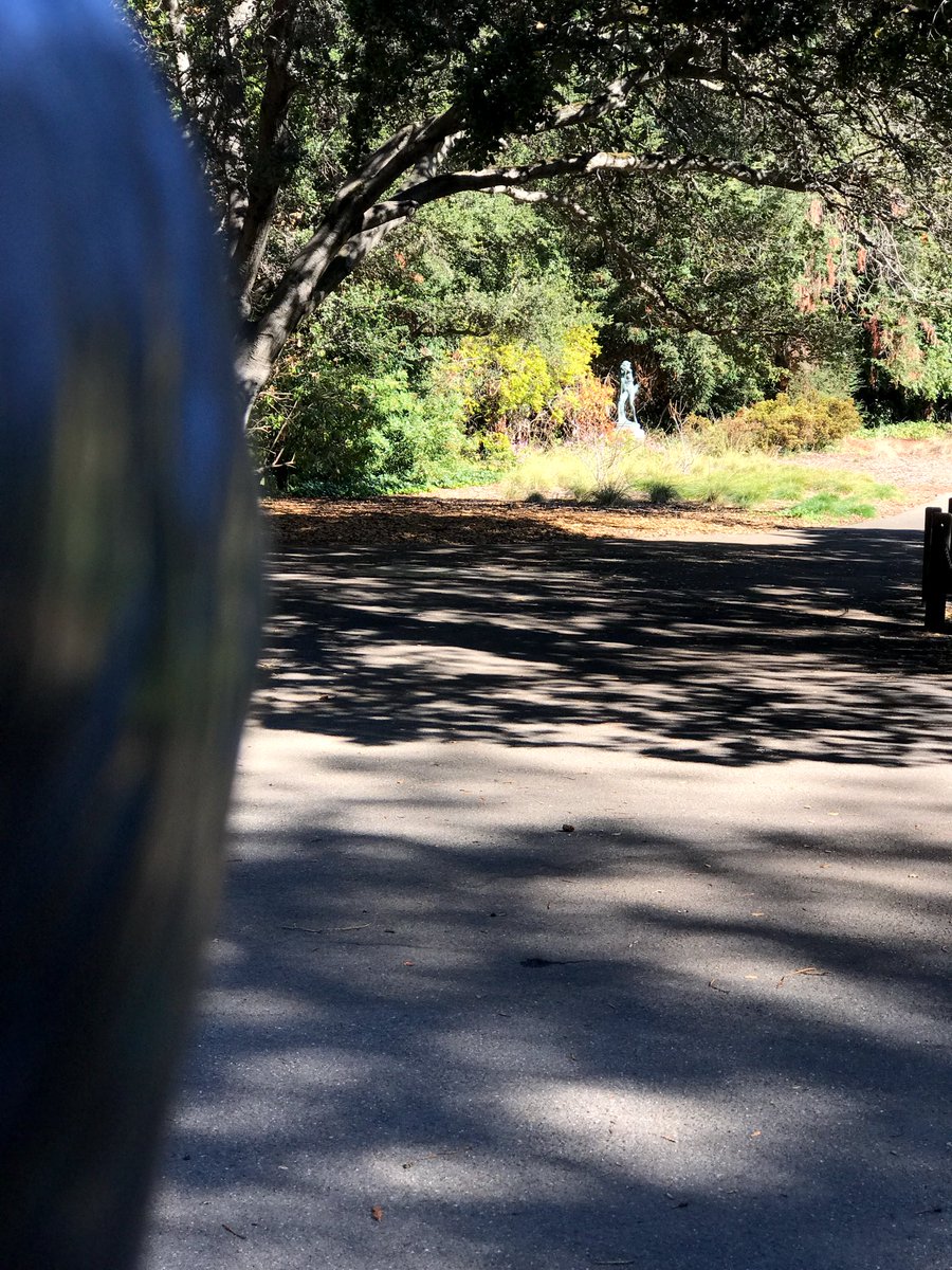 seanyodarouse's tweet photo. Pappy’s got a clear view of The Last Dryad. Hey! @rallycomm. Where’s his blindfold? #CalWeekend #GoBears https://t.co/kshcWb3My1
