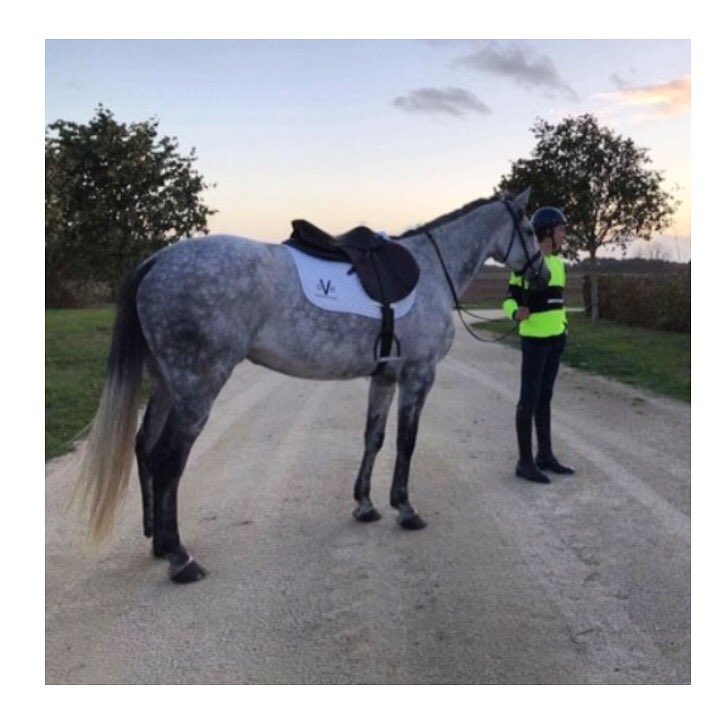 DVR_Equestrian's tweet photo. Max showing you just how smart you can stay in @DVR_Equestrian hi-vis. #hivis #reflectivewear #horserider #hackingout #ridersafety https://t.co/k0pESTd5A4