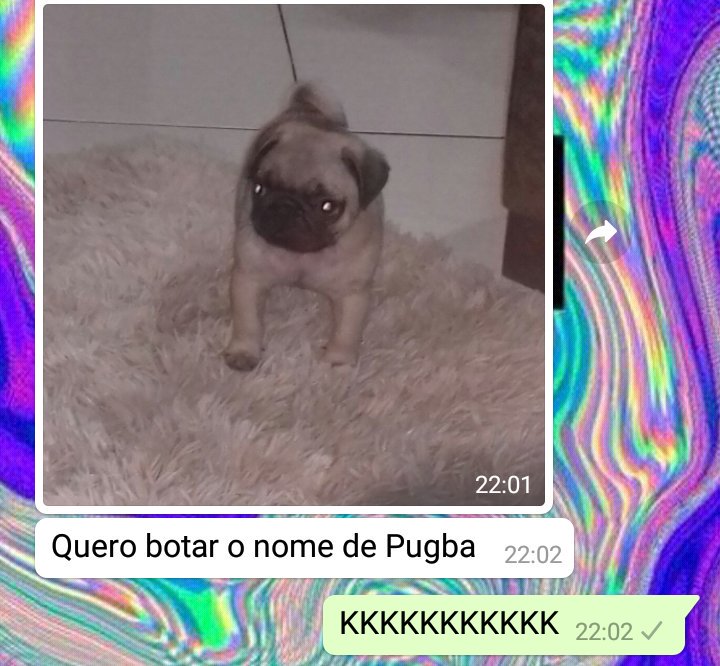 1gorgarcia's tweet photo. Quem é a melhor pessoa do mundo e pq é meu primo? #pugba https://t.co/W0goT2ivDM