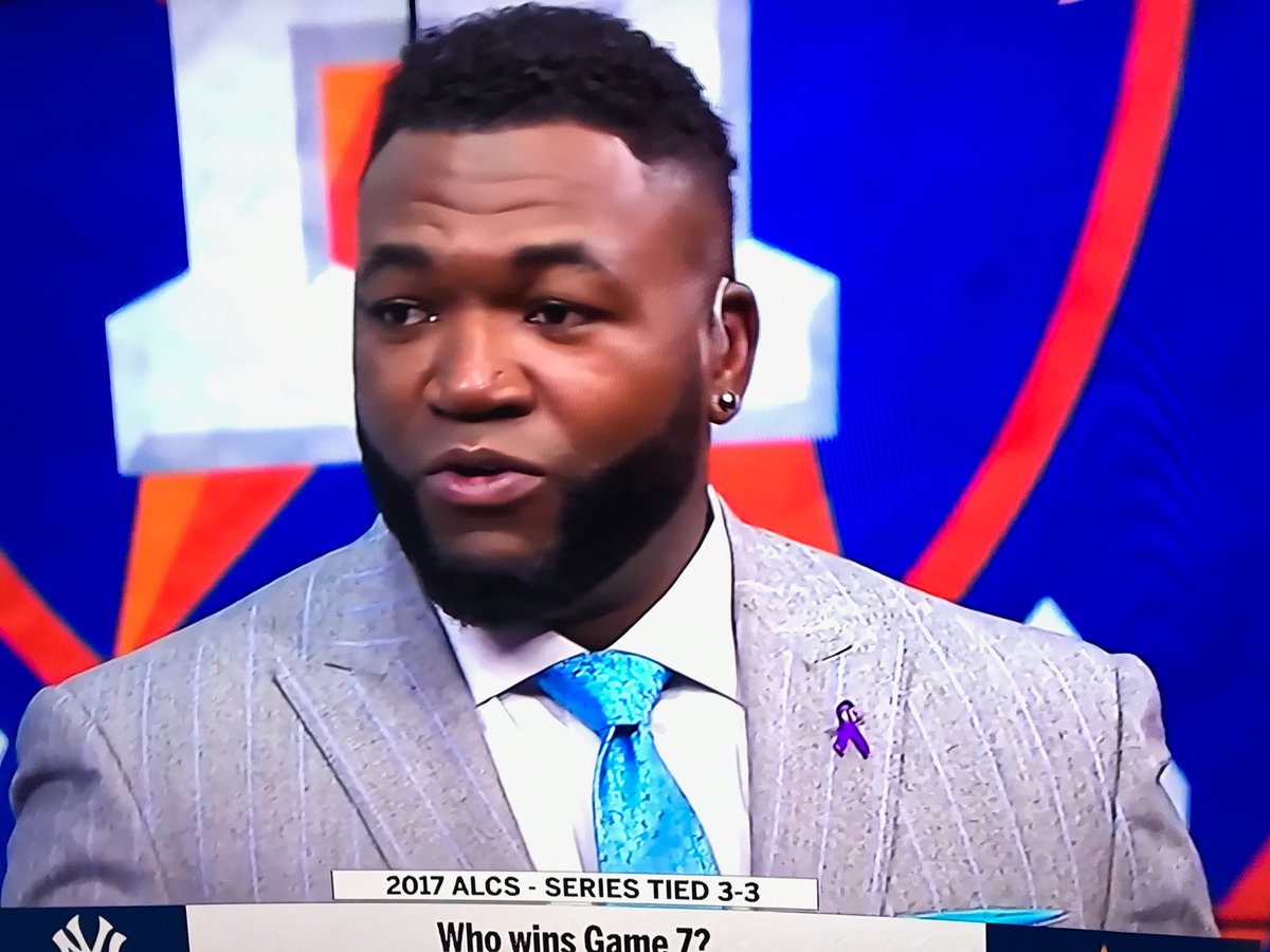 ShannonKlenk's tweet photo. Thx u to @davidortiz #alcs @MLB for supporting #DVAM domestic violence awareness month wearing purple ribbon  pins! https://t.co/IwwwYXOhtQ