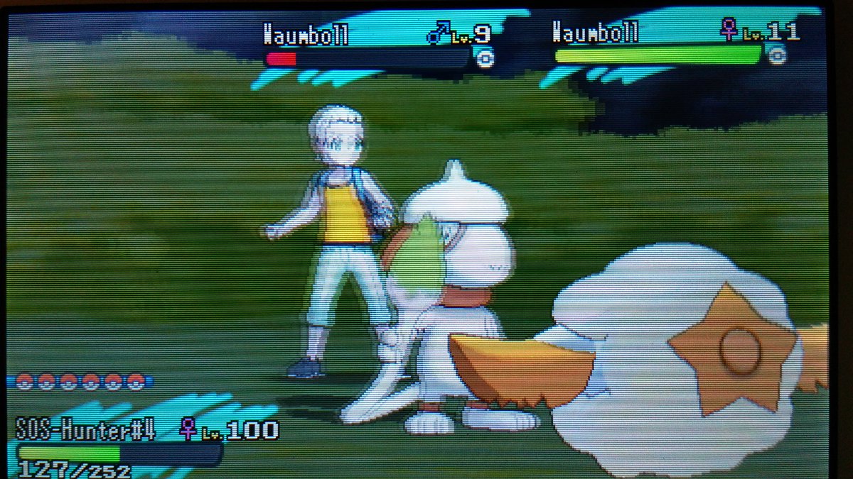 bushidooootiger's tweet photo. Shiny Waumboll nach 206 ENC #shunten #15Hstream @TheSakatiS https://t.co/CyhKhGU82Q