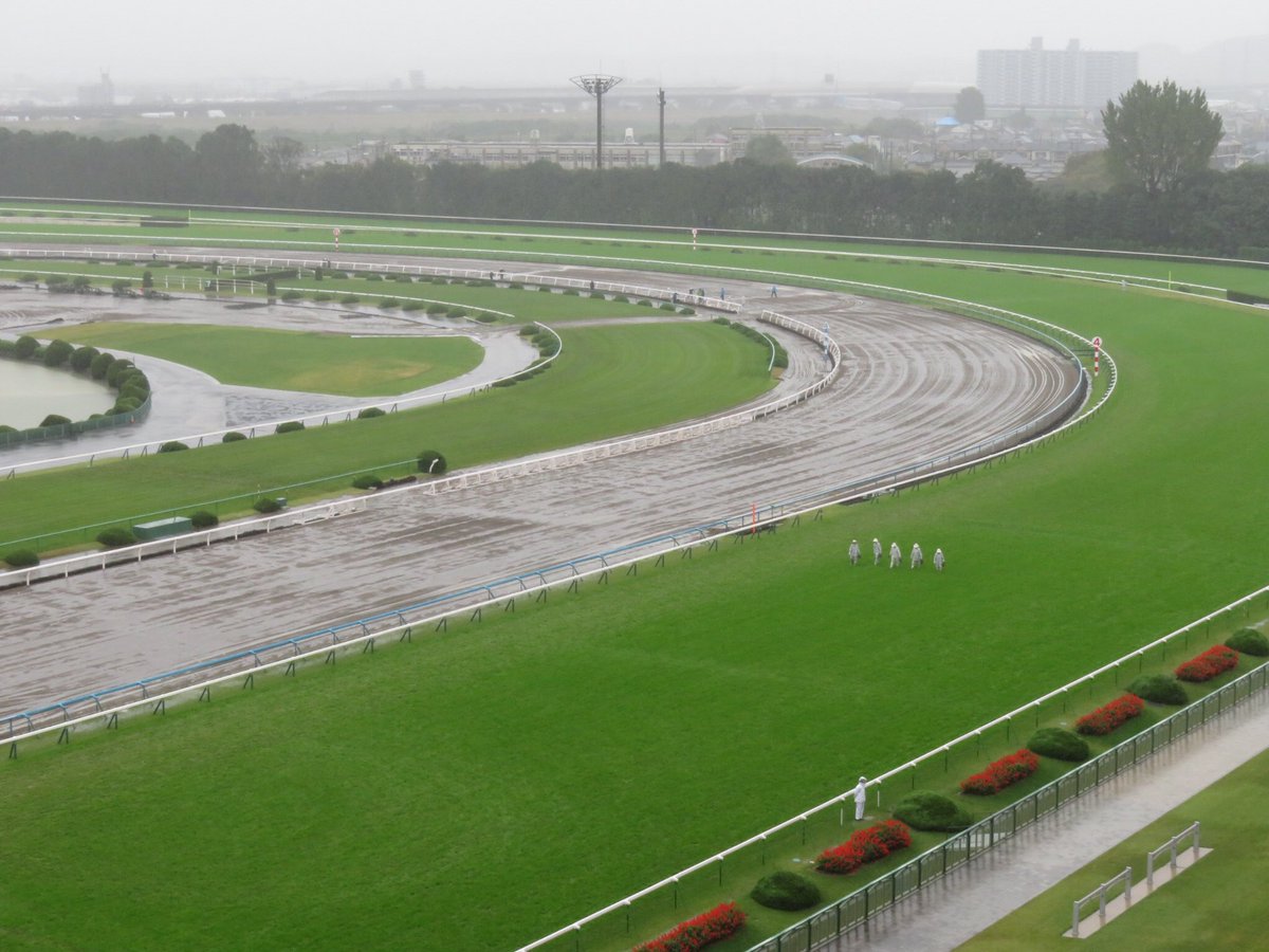 日刊ゲンダイ 競馬 on Twitter: "京都競馬場、ダートはご覧の通り ...