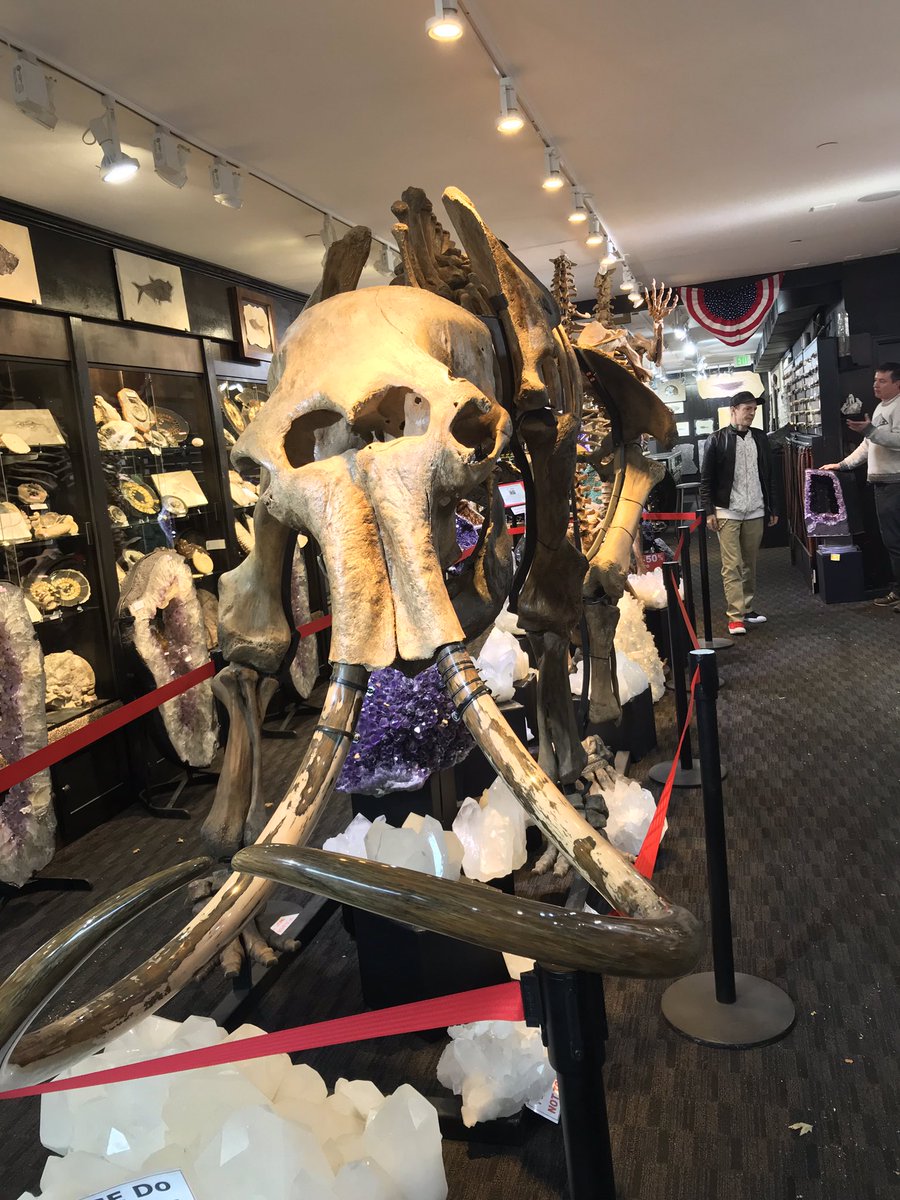 deadmau5's tweet photo. Dat mammoth tho... https://t.co/2wezu3UQTE