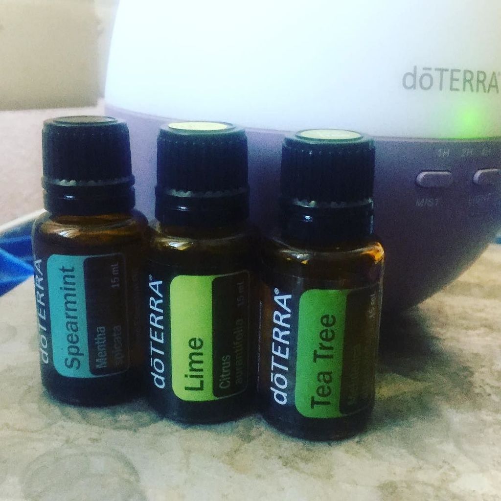 CateBrickell's tweet image. The rain has stopped, the sun is shining, the kids are still feral #whatsnew #todaysblend #inmydiffuser #doterra #… ift.tt/2yFOBOn