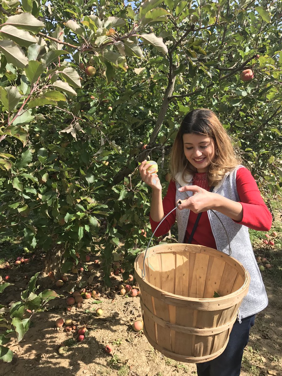 MariamPIN23's tweet photo. What else would you wish for?!
#Applepickin'
#Applecider https://t.co/164aIYtizH
