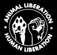 AnonDro_ASAP's tweet photo. Will be streaming all day today on #PC #Twitch all dif games. Come check it out n support #AnimalLiberation#Anonymous#Vegan https://t.co/uJTcMkNL0J
