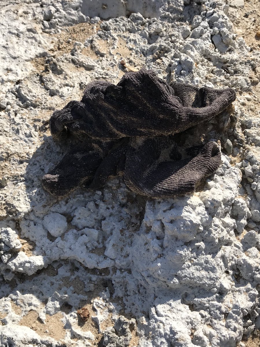 amynessdotcom's tweet photo. @tomhanks I found this sad, lonely crumpled glove and bought you’d appreciate it. #glovelivesmatter https://t.co/RIxjVLhm5Q