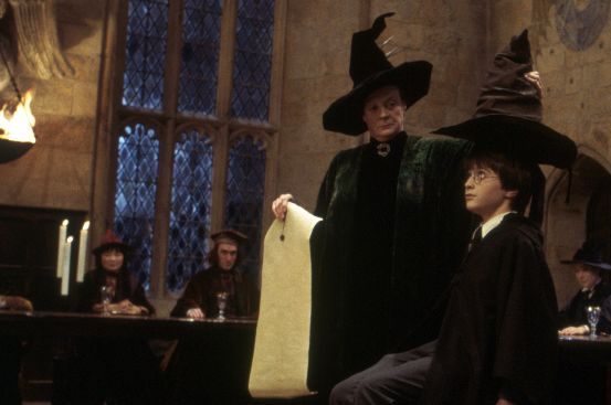¡Potter pertenece a mi casa!