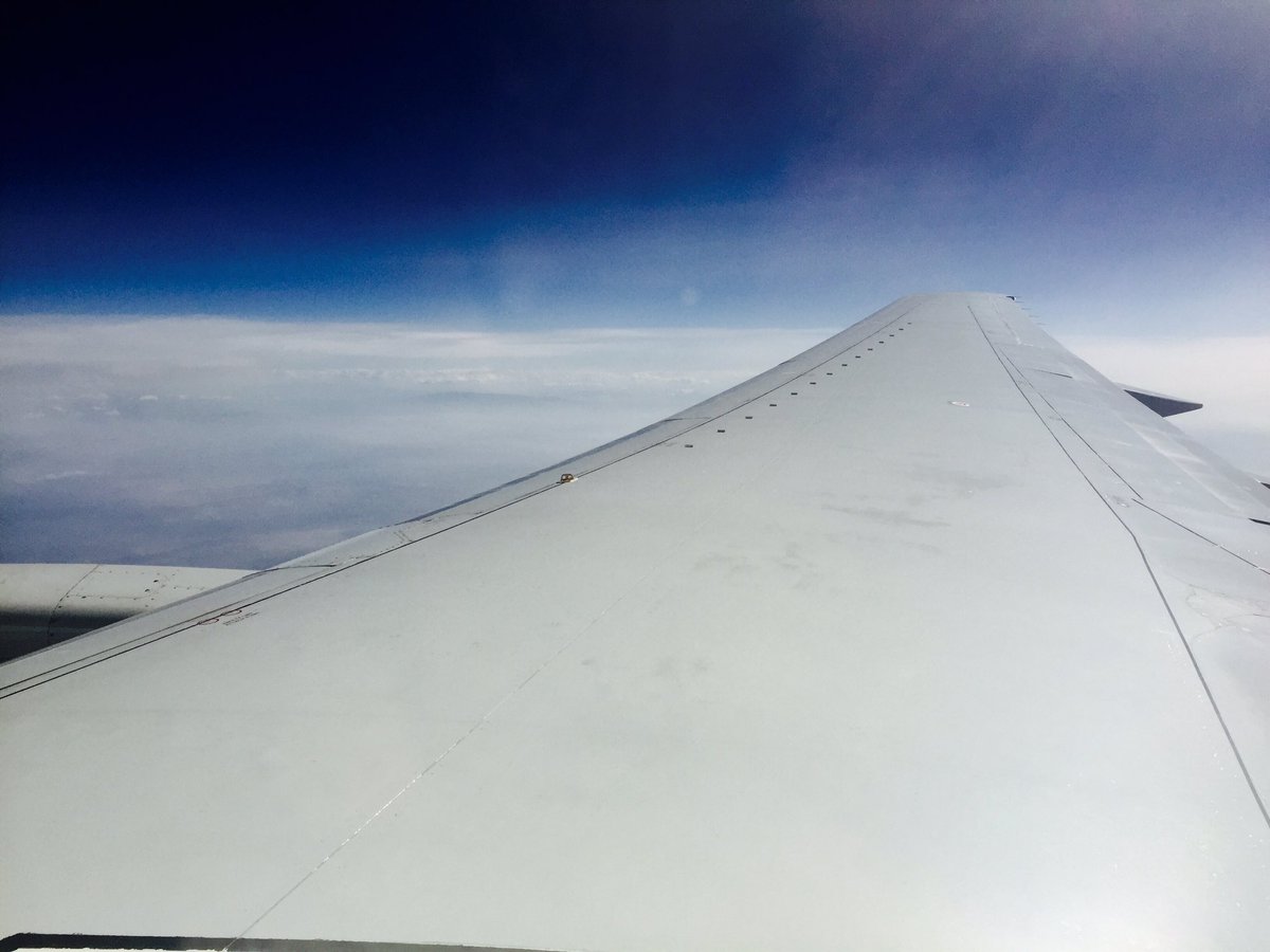 1JoshuaJordan's tweet photo. My diving board to the world. Love my job :) 

#sleightofhand #joshuajordantour #hotel #flight #delta https://t.co/SqQiIz0kI3